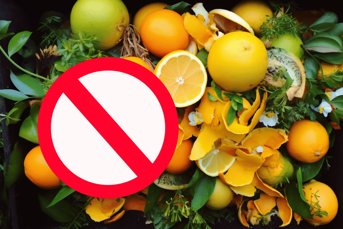 les déchets à ne pas mettre au compost