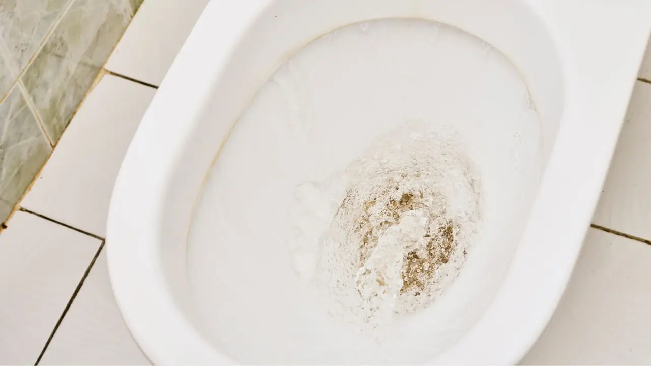 économiser l'eau des toilettes